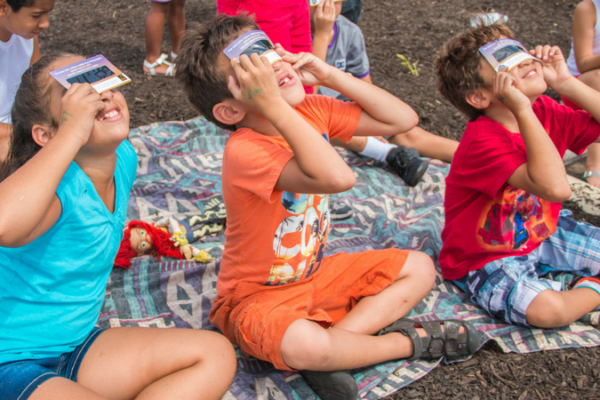 Copy of Blog Posts Template 8