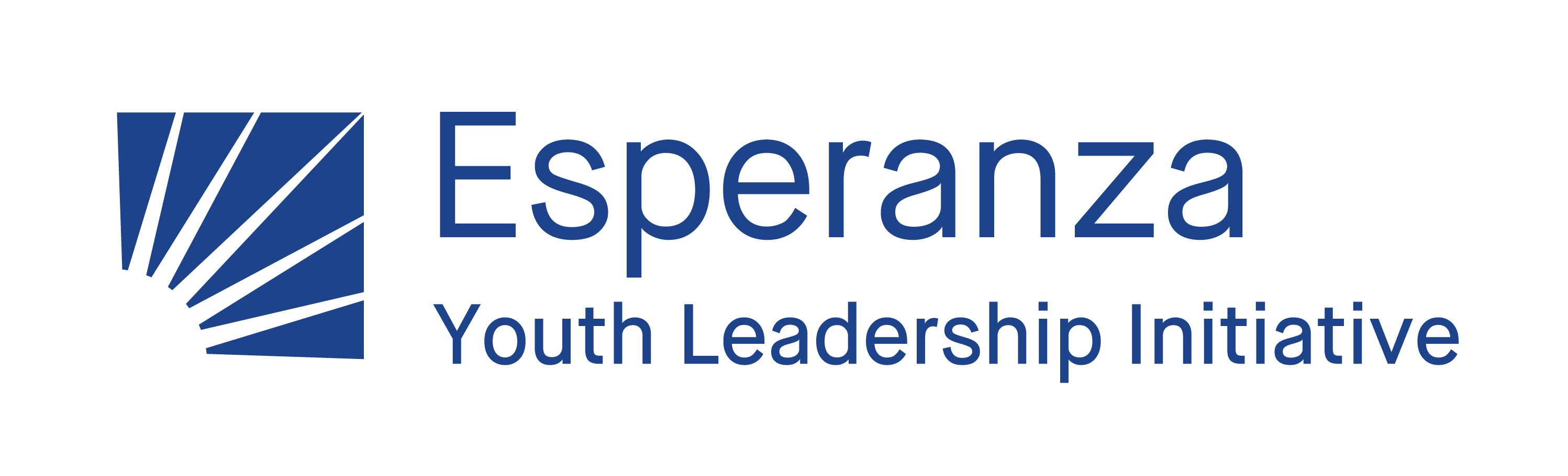 Youth Leadership Initiative Blue and White